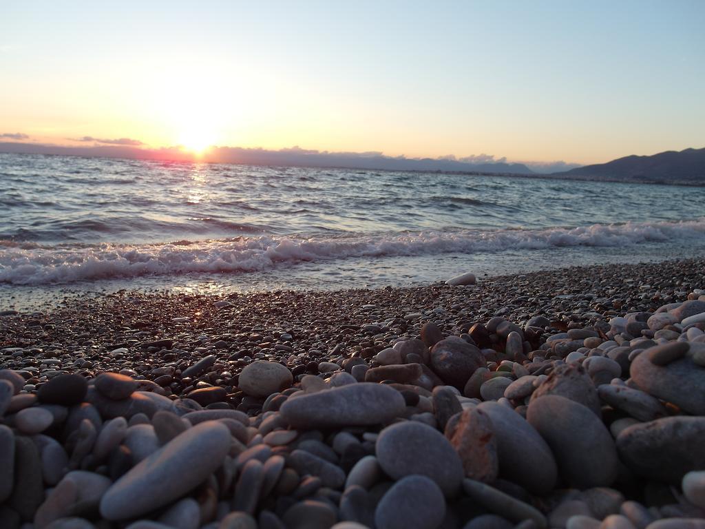 Hotel Alexandrion *